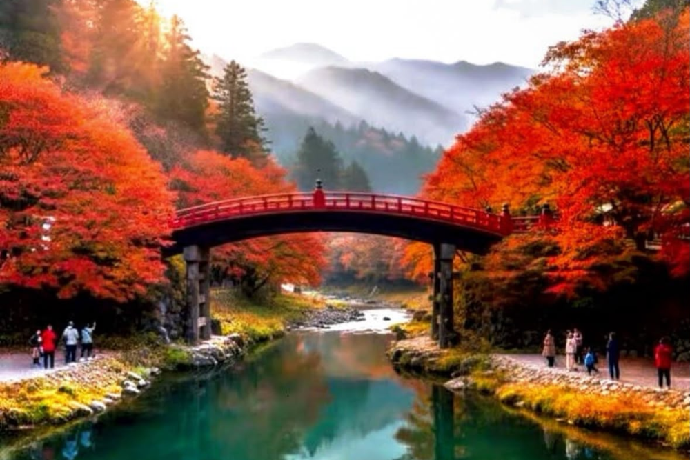 Nikko 1