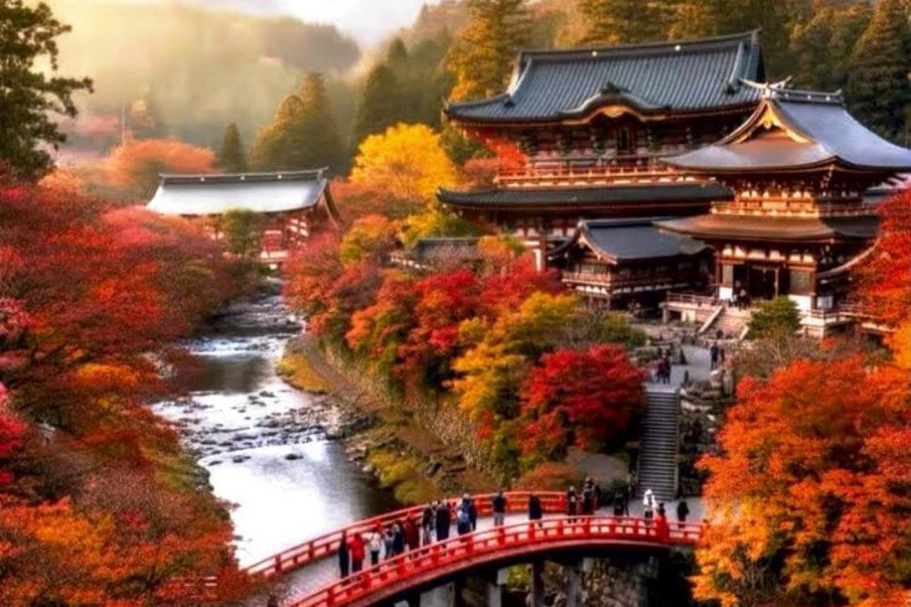 Nikko 3