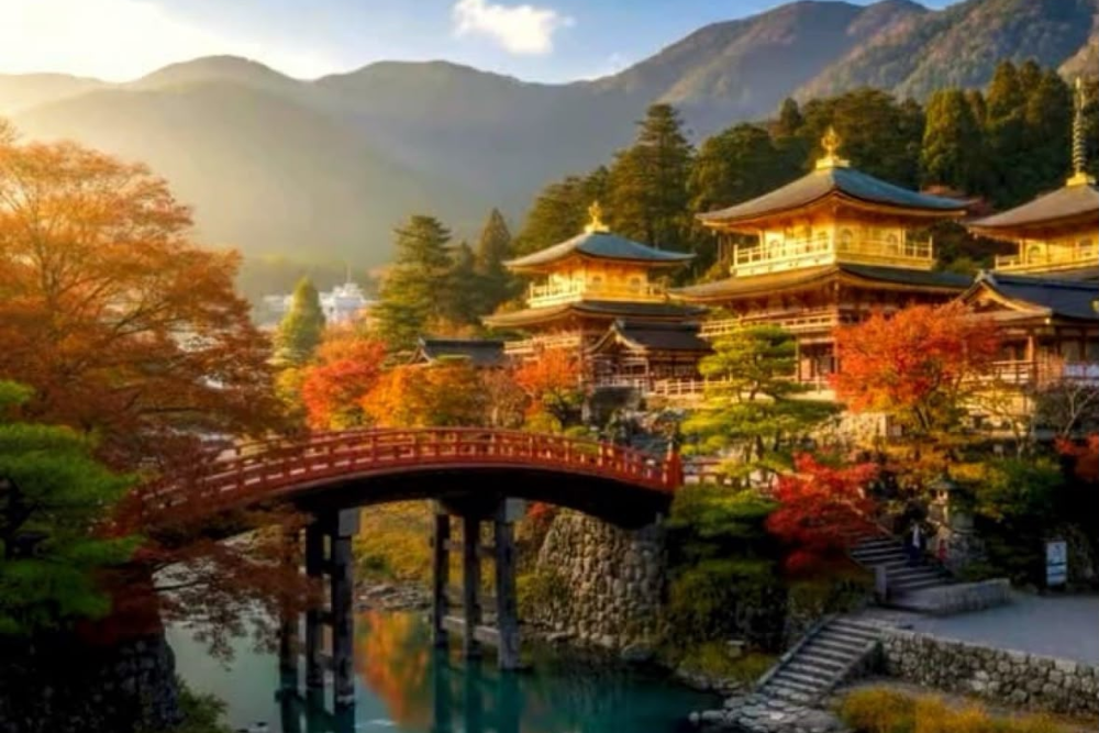 Nikko 4