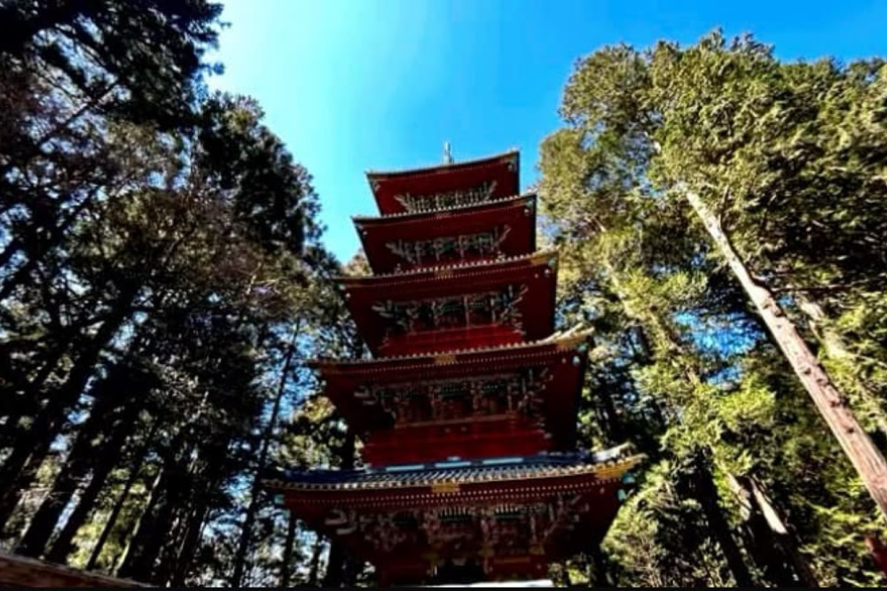 Nikko 5