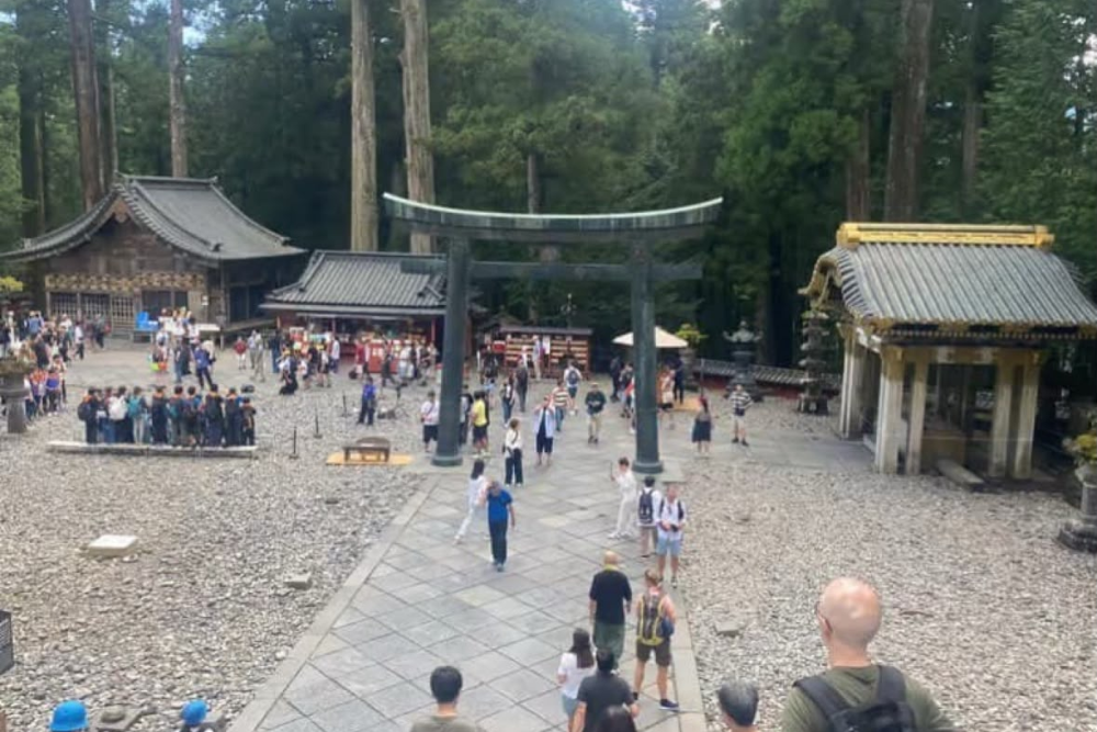 Nikko 7