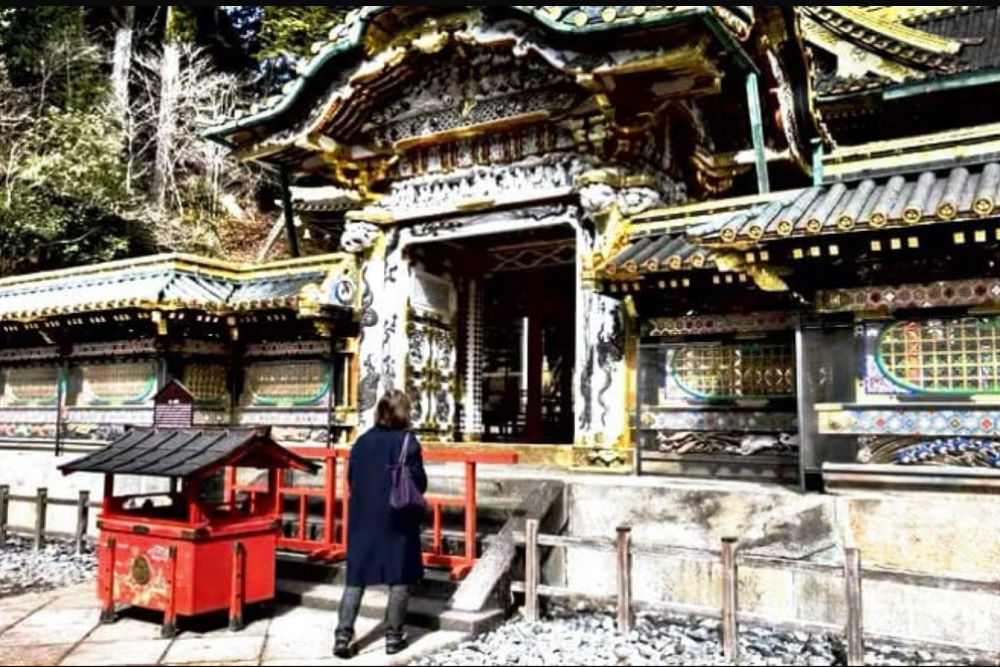 Nikko 8