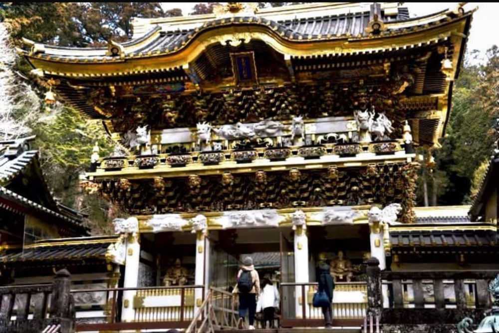 Nikko 9